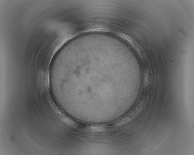 X0000111421274200908101048