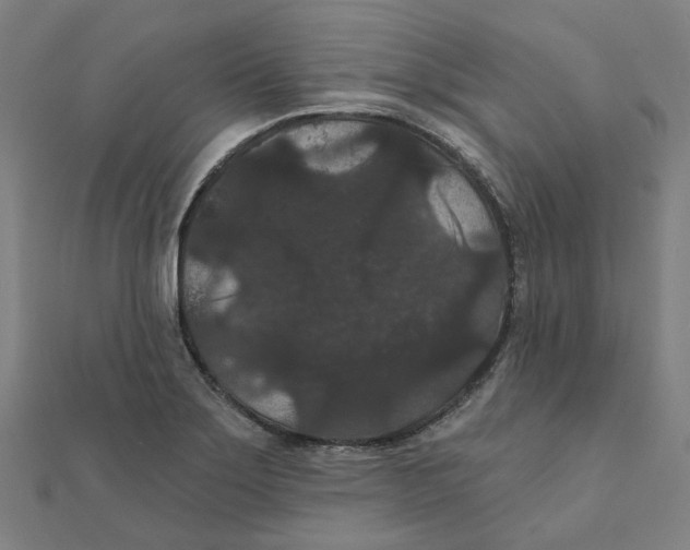 X0000111421275200908101048