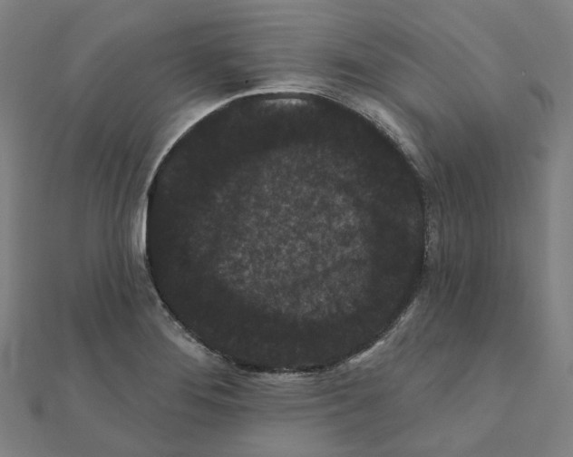 X0000111421276200908101048