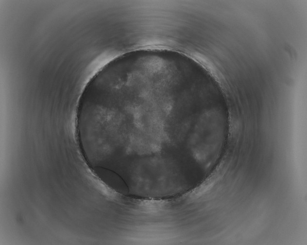 X0000111421277200908101048