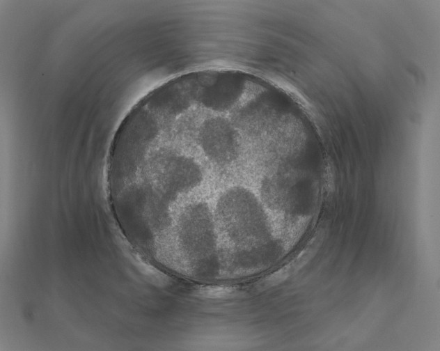 X0000111421278200908101048