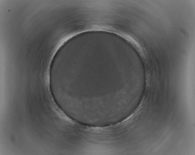 X0000111421280200908101048