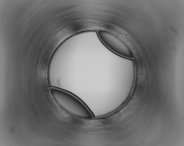 X0000111421281200908101048