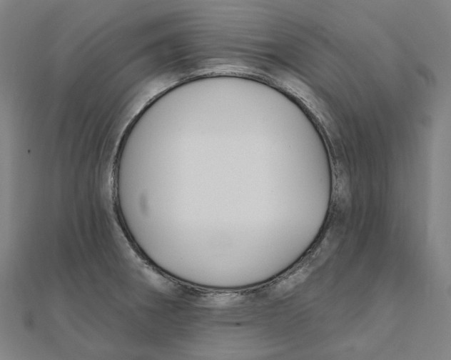 X0000111421282200908101048