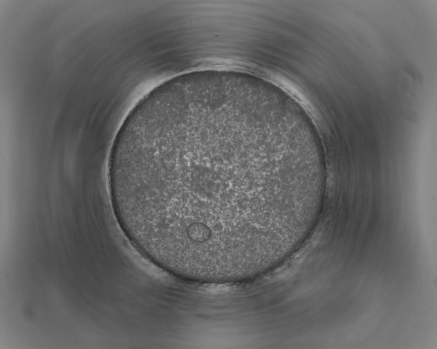 X0000111421283200908101048