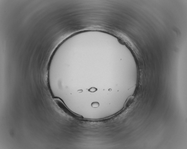 X0000111421284200908101048