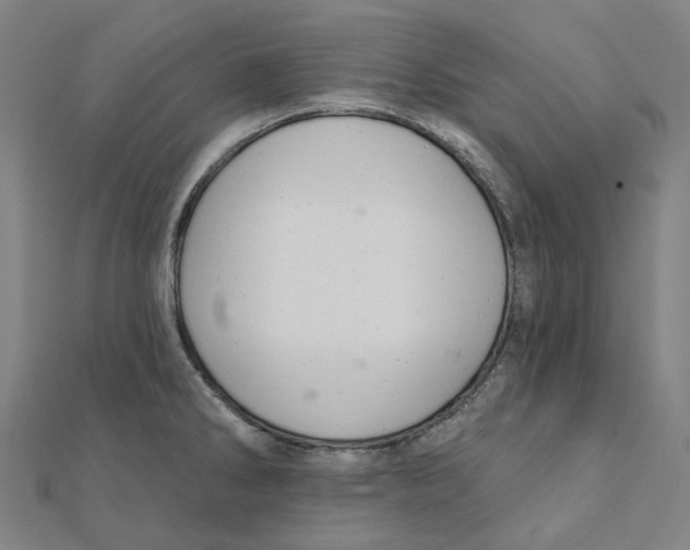 X0000111421286200908101048