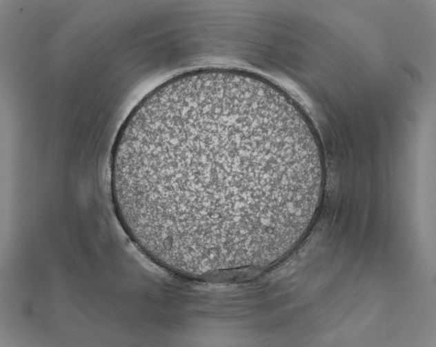 X0000111421287200908101048