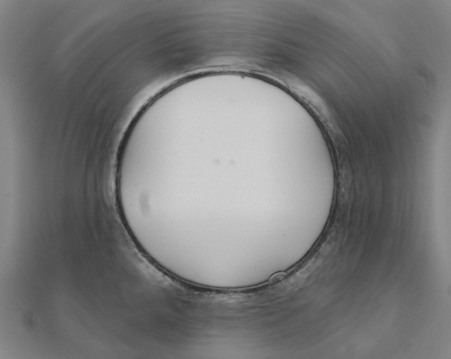 X0000111421288200908101048