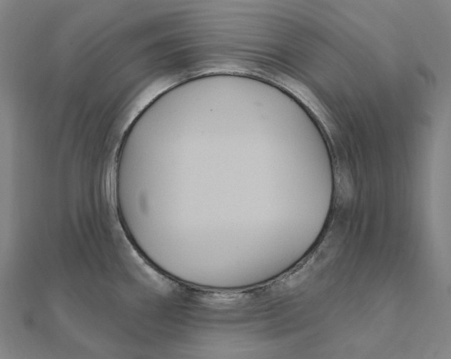 X0000111421290200908101048