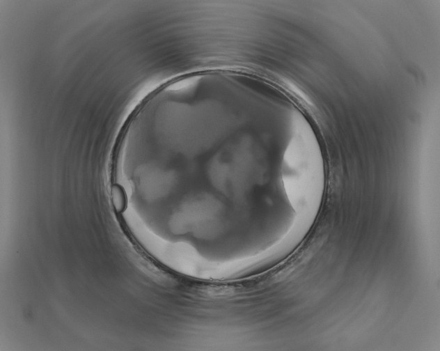 X0000111421291200908101048