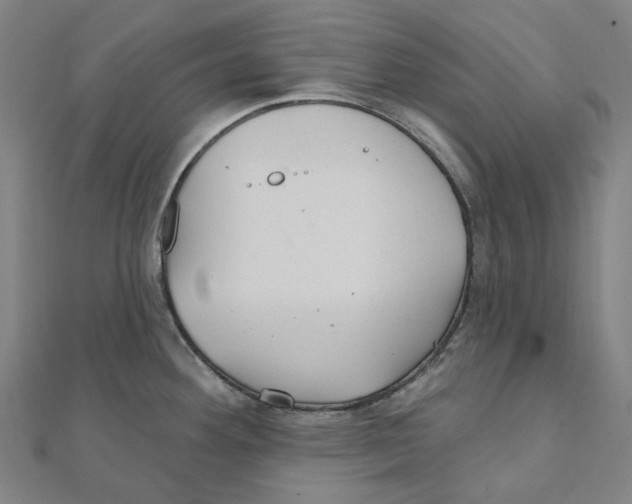 X0000111421292200908101048