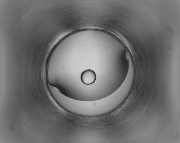 X0000111421293200908101048