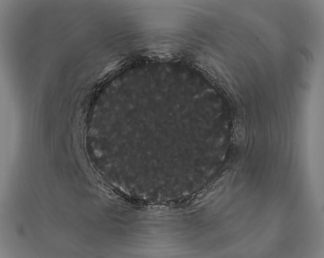 X0000111421297200908101047