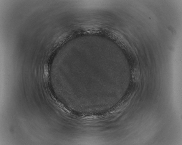 X0000111421298200908101047