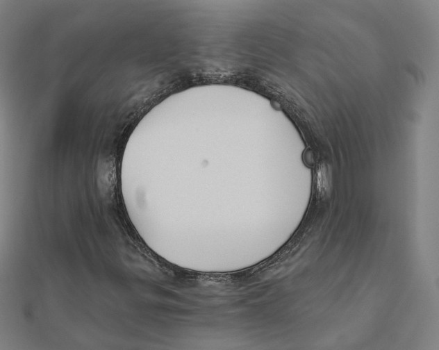 X0000111421299200908101047