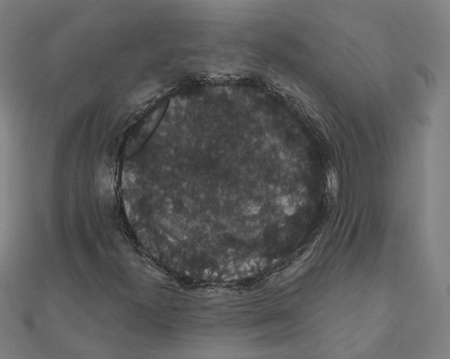 X0000111421300200908101047