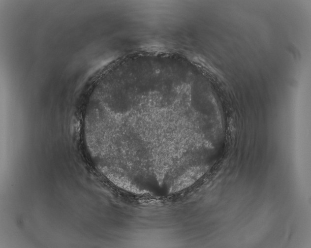 X0000111421302200908101047