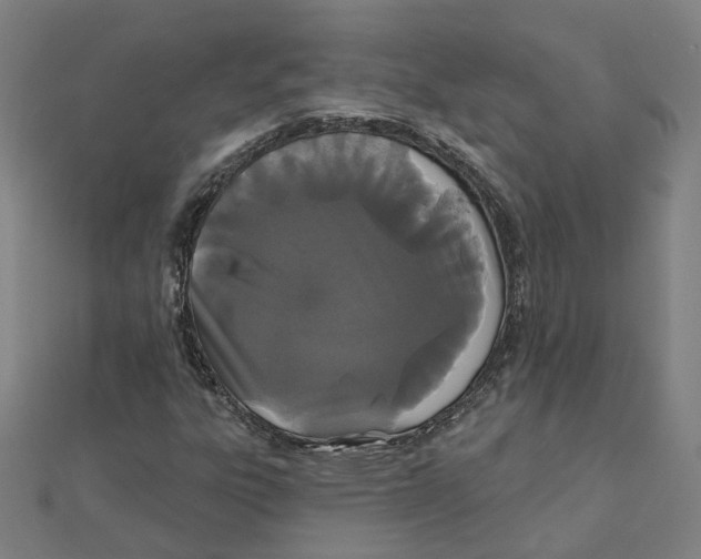 X0000111421303200908101047