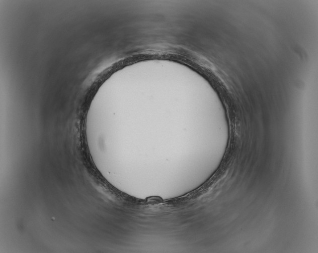 X0000111421304200908101047