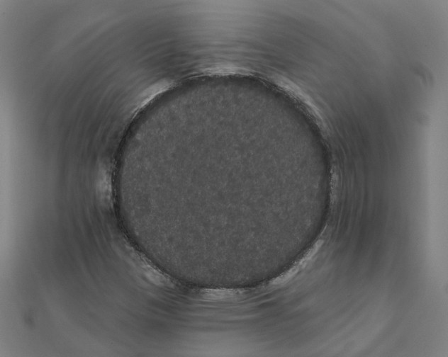 X0000111421305200908101047