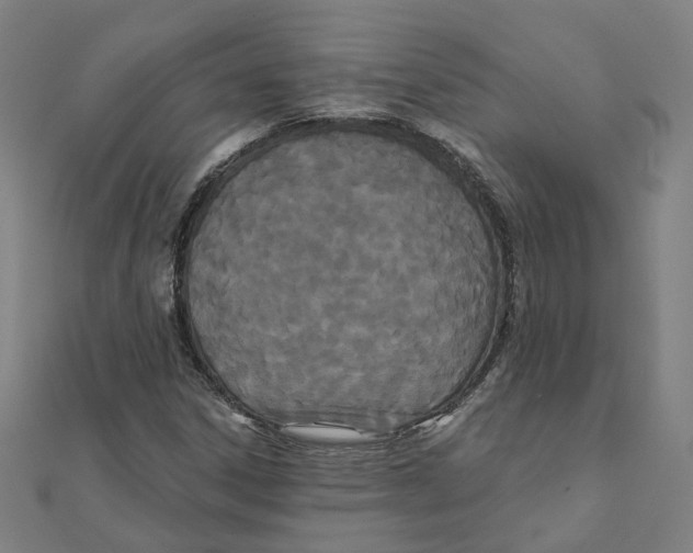 X0000111421306200908101047