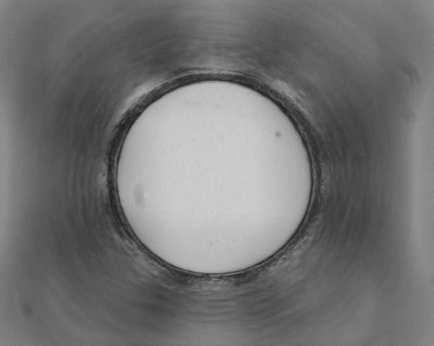 X0000111421307200908101047