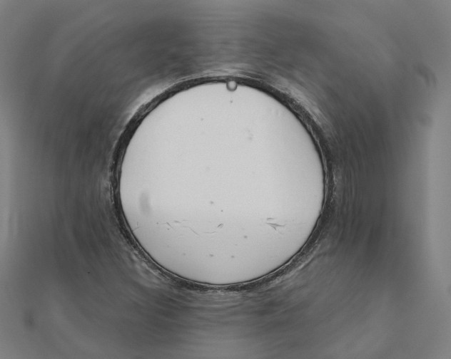 X0000111421308200908101047