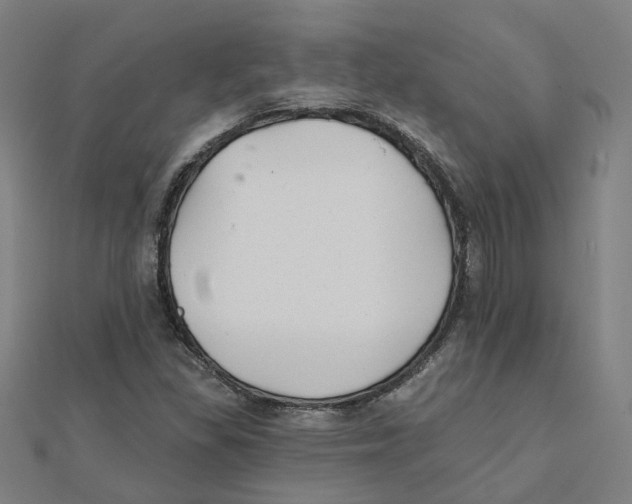 X0000111421309200908101047