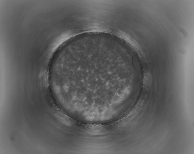 X0000111421310200908101047