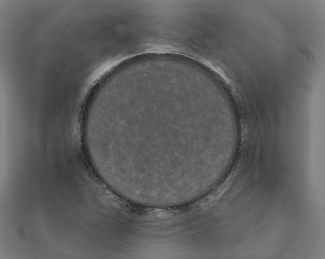 X0000111421311200908101047