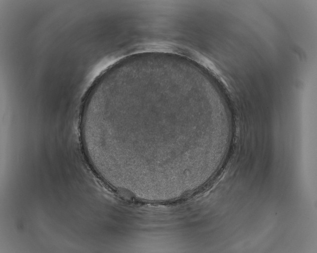 X0000111421312200908101047
