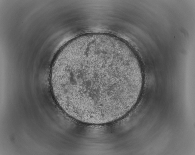 X0000111421314200908101047