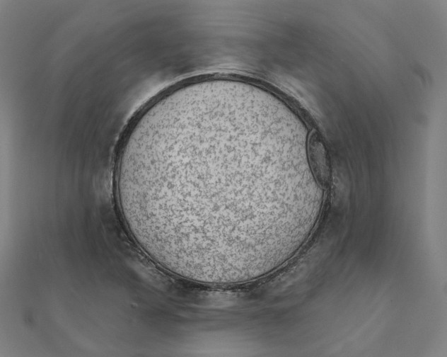 X0000111421316200908101047