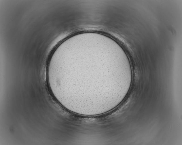 X0000111421317200908101047