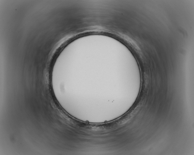 X0000111421318200908101048