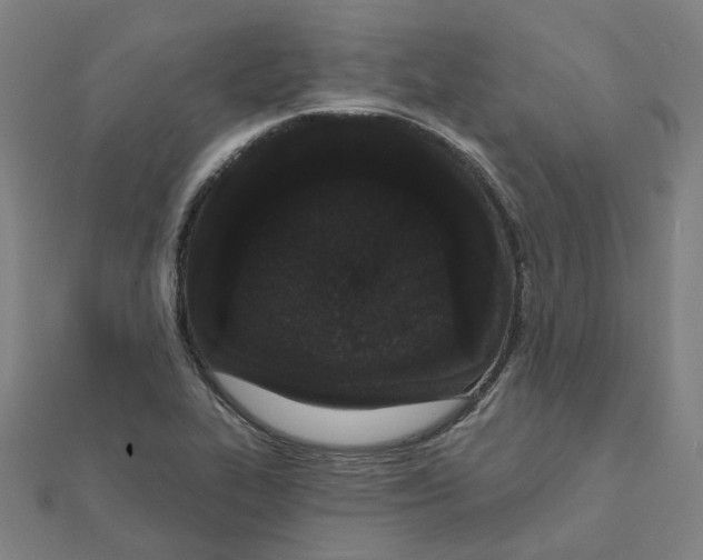 X0000111421319200908101048