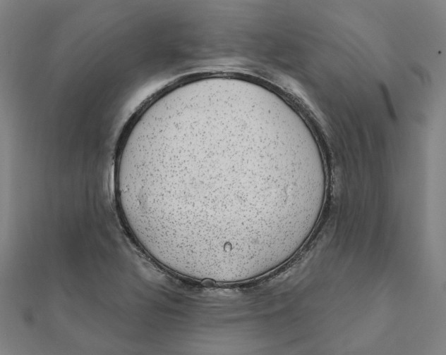 X0000111421320200908101048