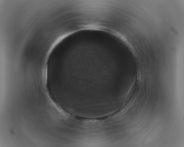 X0000111421323200908101048