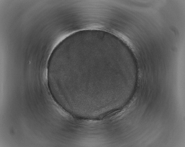 X0000111421324200908101048