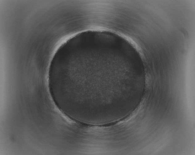 X0000111421327200908101048