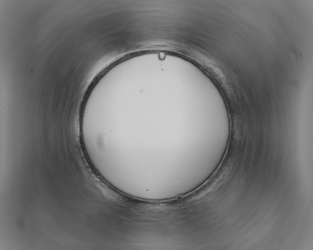 X0000111421328200908101048