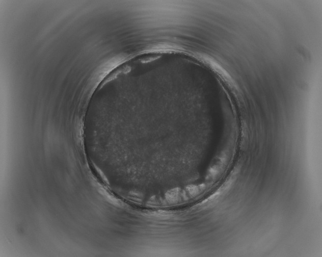 X0000111421329200908101048