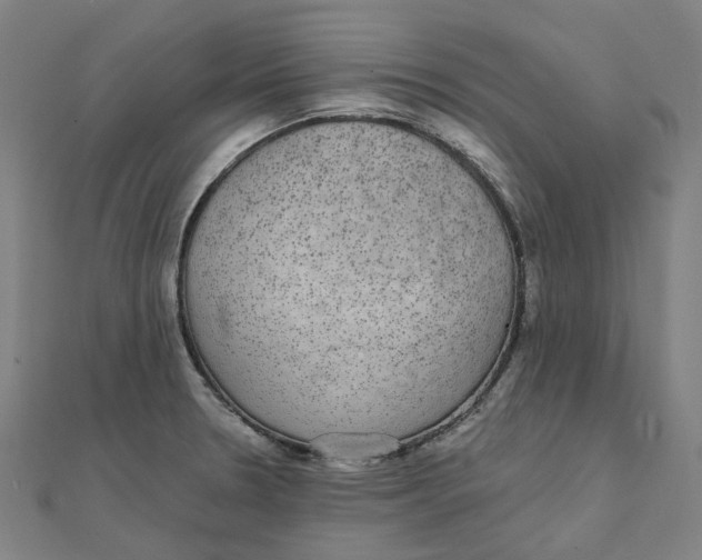 X0000111421330200908101048