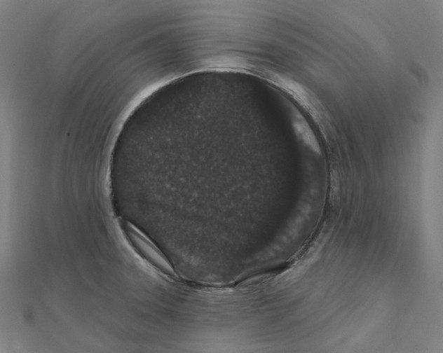 X0000111421331200908101048