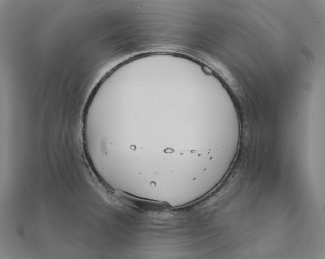 X0000111421332200908101048