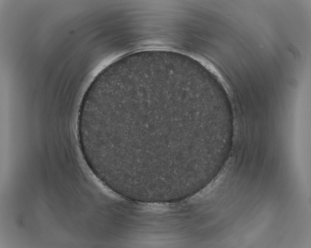 X0000111421333200908101048