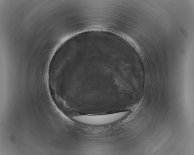 X0000111421334200908101048