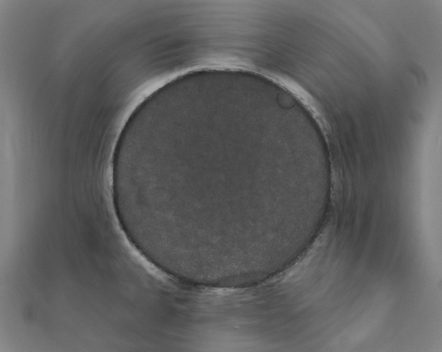 X0000111421335200908101048