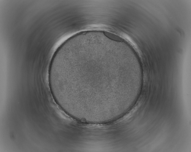 X0000111421336200908101048